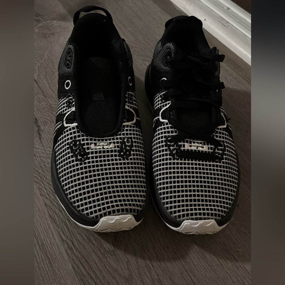 LeBron basketball shoes